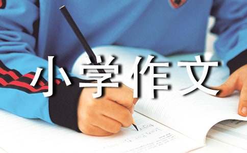 为什么稳定性对篮球发展如此重要_2